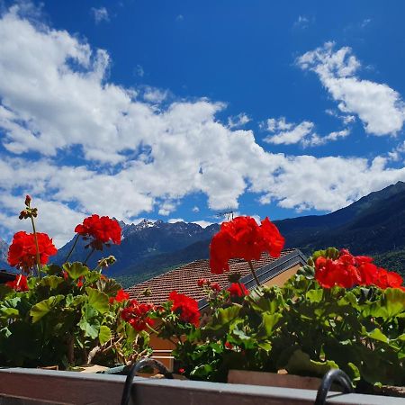 B&B Il Pettirosso Malonno Zewnętrze zdjęcie