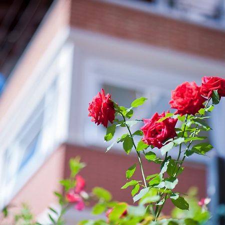 B&B Il Pettirosso Malonno Zewnętrze zdjęcie