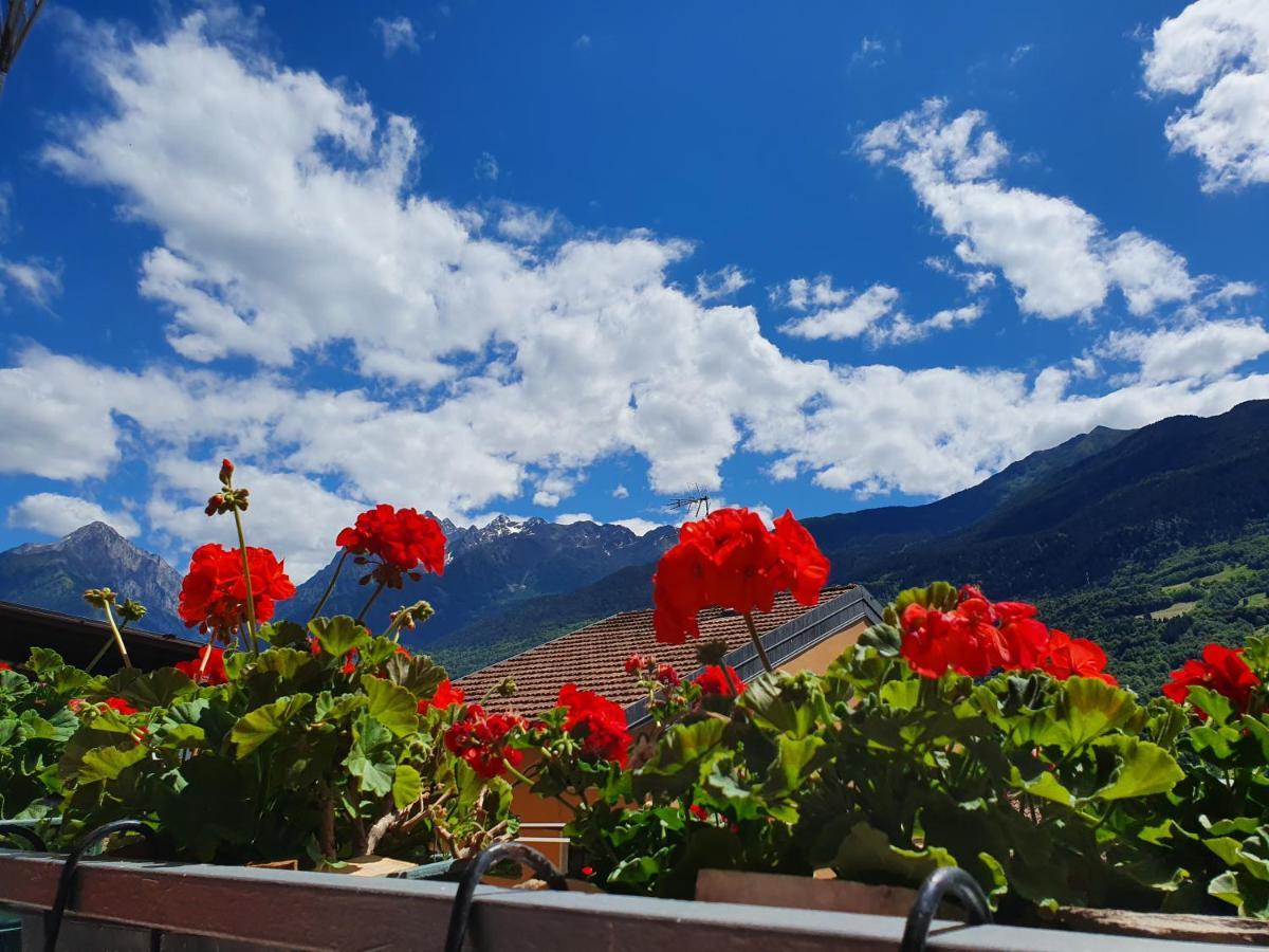 B&B Il Pettirosso Malonno Zewnętrze zdjęcie