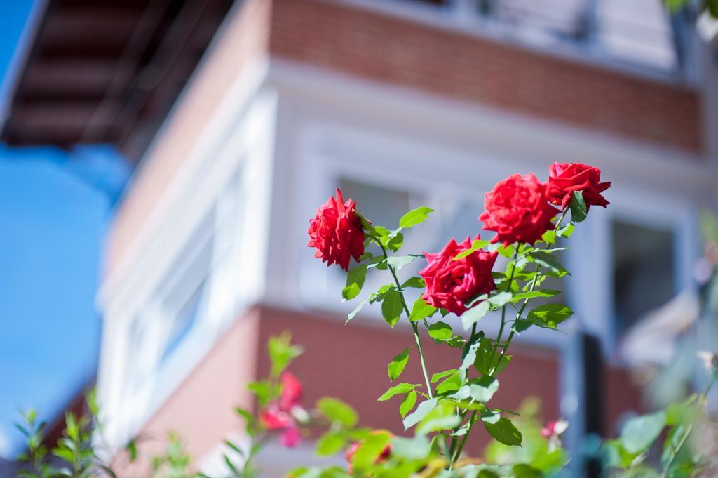 B&B Il Pettirosso Malonno Zewnętrze zdjęcie