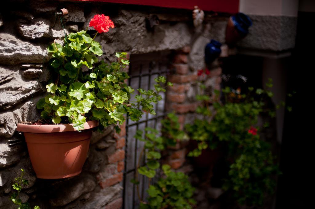 B&B Il Pettirosso Malonno Zewnętrze zdjęcie